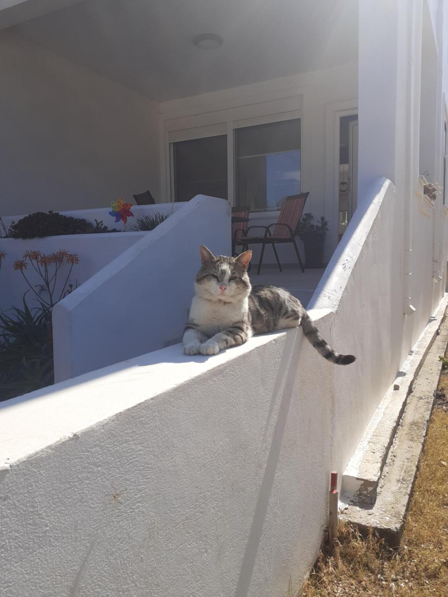 Katerina Summerhouse Dhaskalion エクステリア 写真